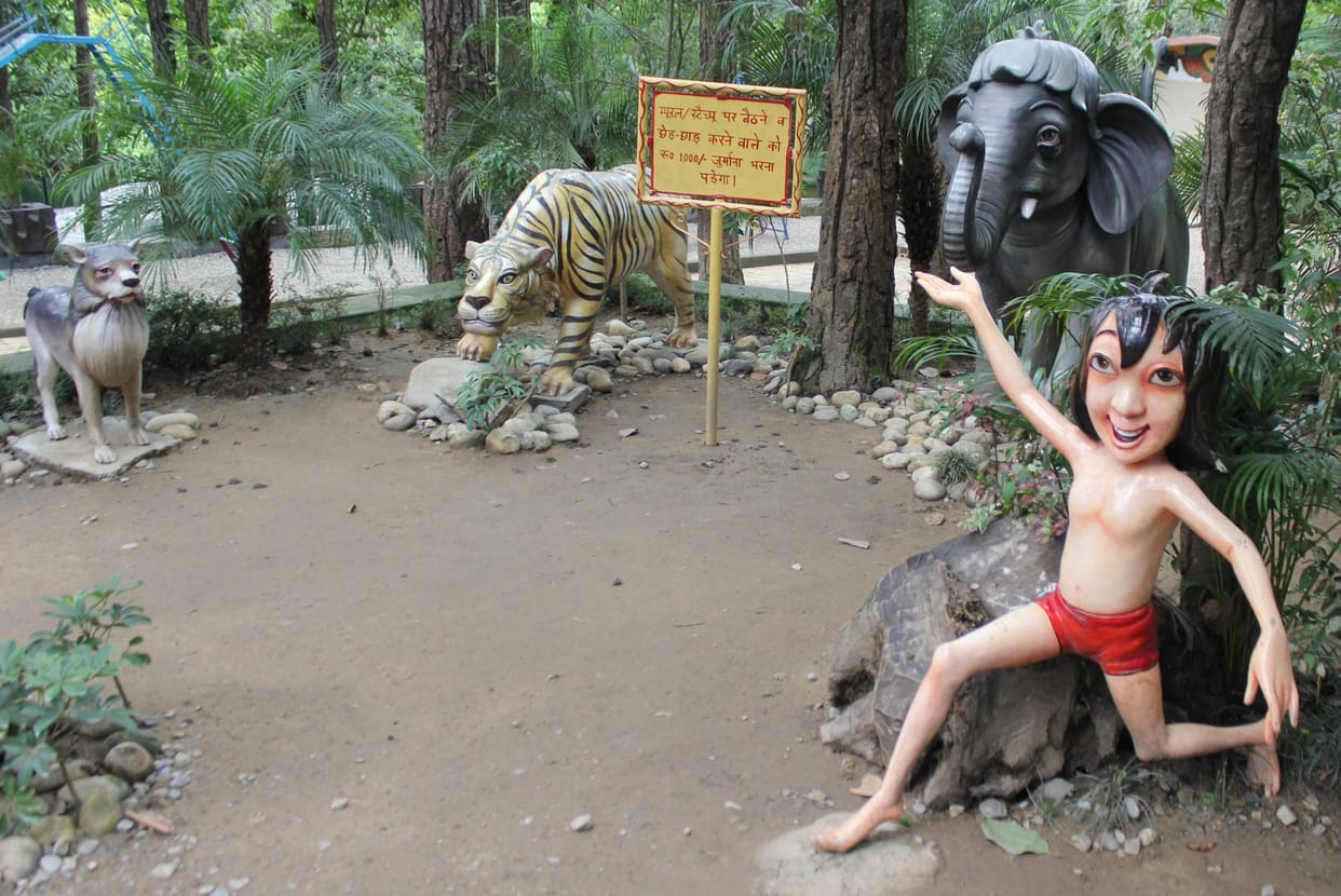grass will grow in wind at dehradun zoo