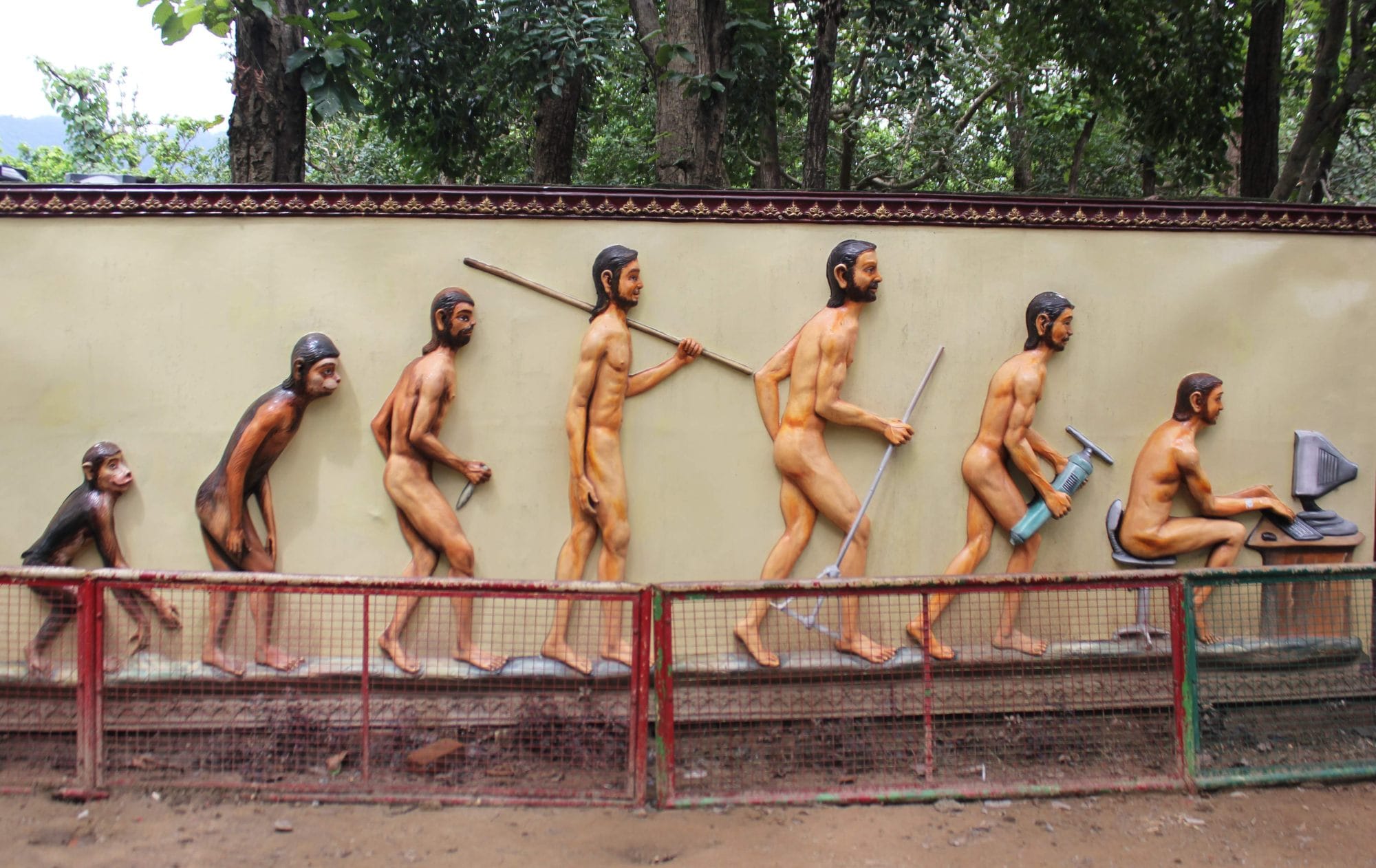 grass will grow in wind at dehradun zoo