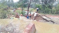 miner broke, villegers, corps, kaithal