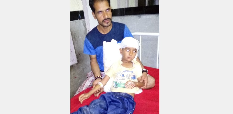 Electricity pole falls on mother and child, injured.