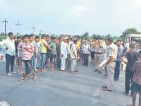jind, harayana, accident, pond, current, 12 animals injured, harayana