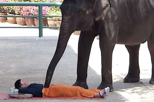 weird teicks to release stress