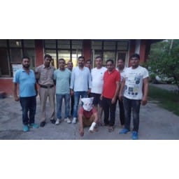 arrest accused of attempt murder, crime news, Hisar