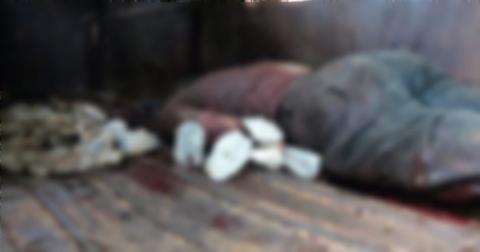 cow smugglers encounter by police in narnaul, one smugglers killed, policeman injured