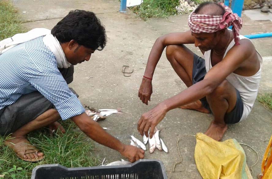 Despite denials by the contractor hunting fish