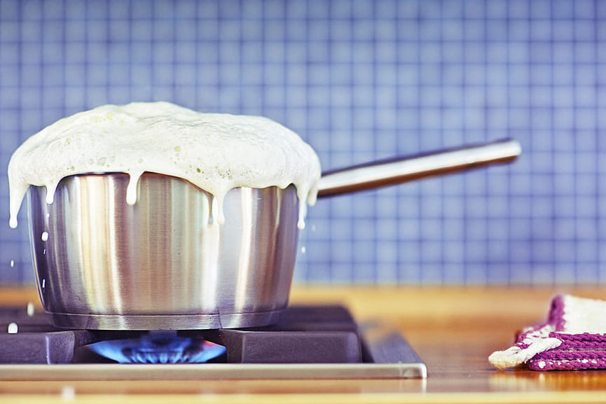 tips to test the purity of milk 