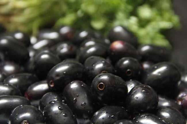 benefits of jamun