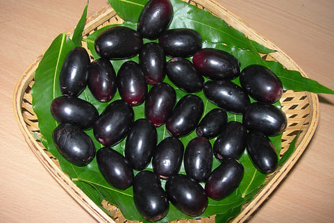benefits of jamun
