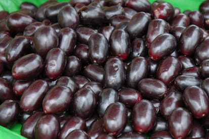 benefits of jamun