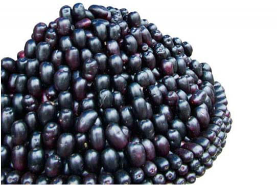 benefits of jamun