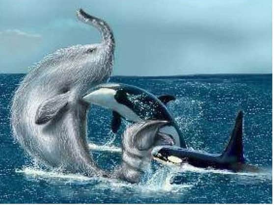 mysterious sea creatures found in sea