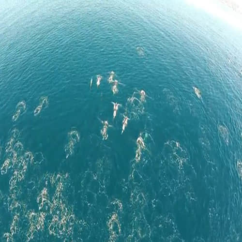 This Drone Footage Is A Proof Of Mermaids