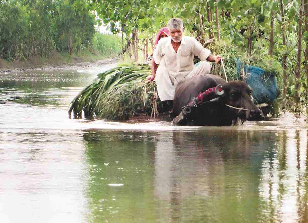 flood in amroha
