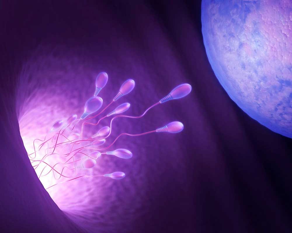 necessary tests before infertility treatment