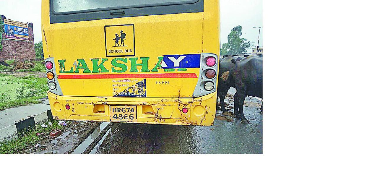 auto, school bus, excident, injured, panipat