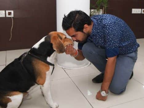 wired company, wired office, weird places, unique company, dogs welcomed in company