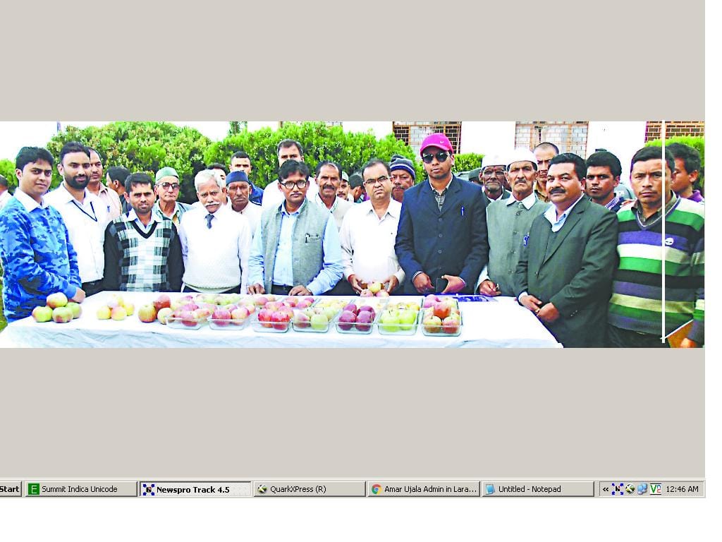 Capt Hari Singh topped apple