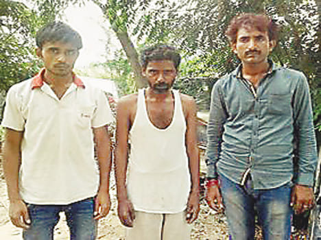 DCM riders looted cattle-laden car