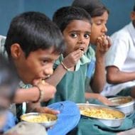The sample will be taken every day, mid-day meals