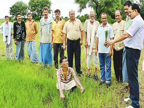 Assigning tricks to increase the production of crops