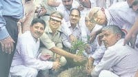 jind, harayana, kandela, khap, envorment, secure, plantation,  harayana