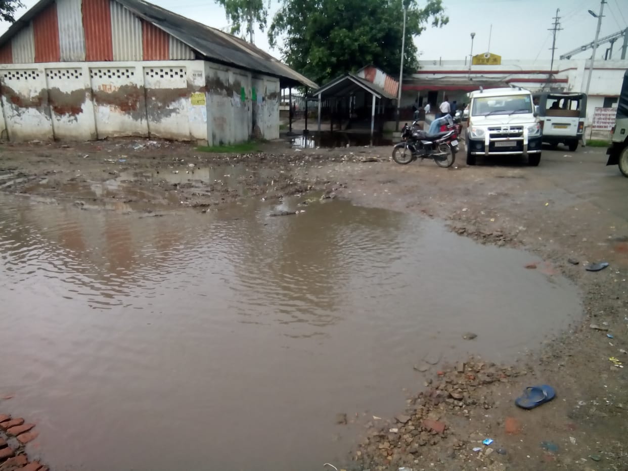 Rejuvenation Station will Jngi
