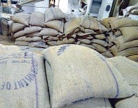 cm flying team raid, raid in rai factory, 117 wheat bags recieve, Sonipat