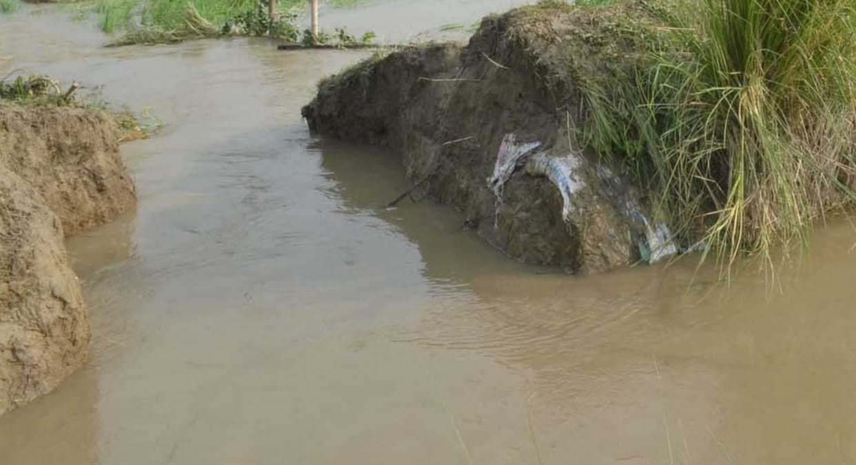 Minor cut, harvest 80 acres submerged