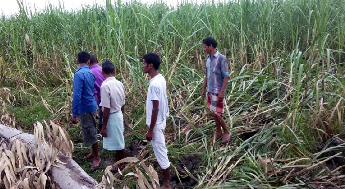 Park personnel said the raid on the wild elephants, bicycles and broke