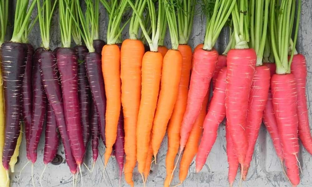 These Vegetables Are Helpful To Gain Height