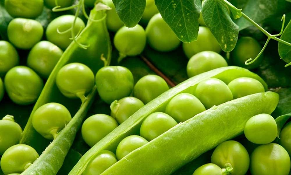 Superfoods that Improve Fertility