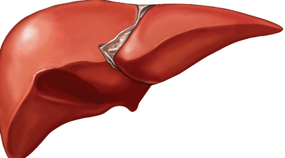 First time live donor liver transplant in PGI Chandigarh
