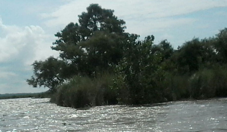 Sharda capacitance in five and a half acres of forest Bijuri