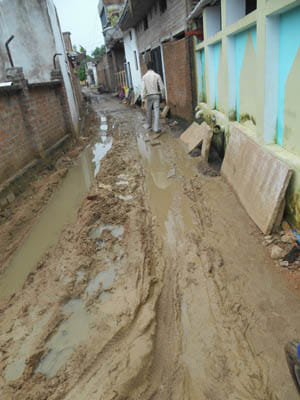 lalitpur nager palika