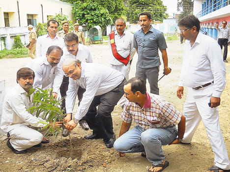 Advisor to CM planted sapling