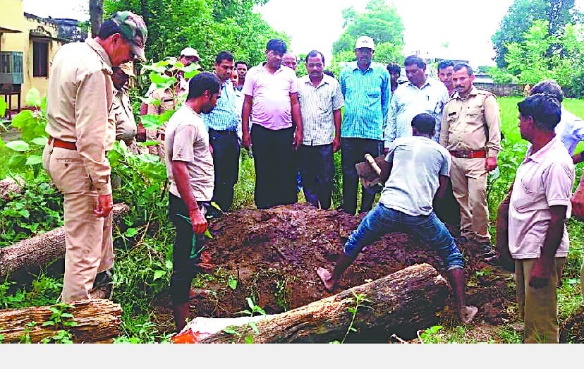 Chital bitten by dogs, the villagers divided