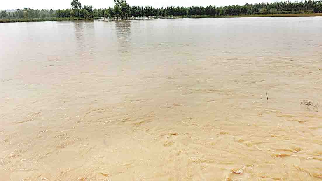 flood affected area in amroha