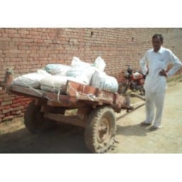 Accused of soiled ration, 13 bags, Dipo, hisar