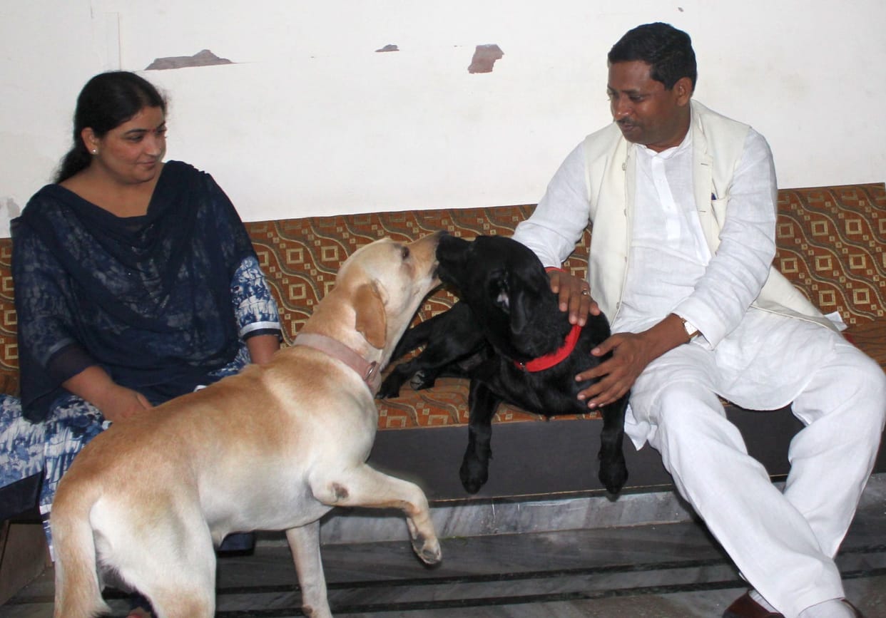 Former union minister of state dog lost, reunited four in 26 hours