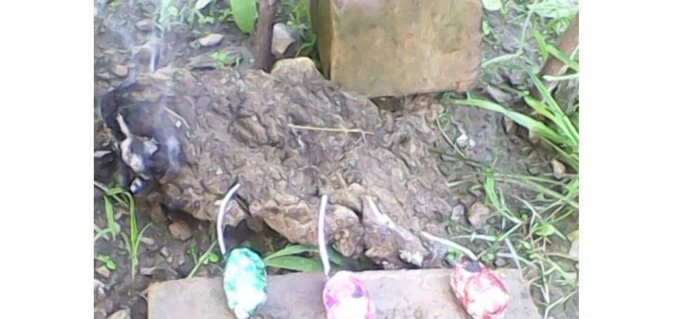 Upla Bomb to protect crops from animals