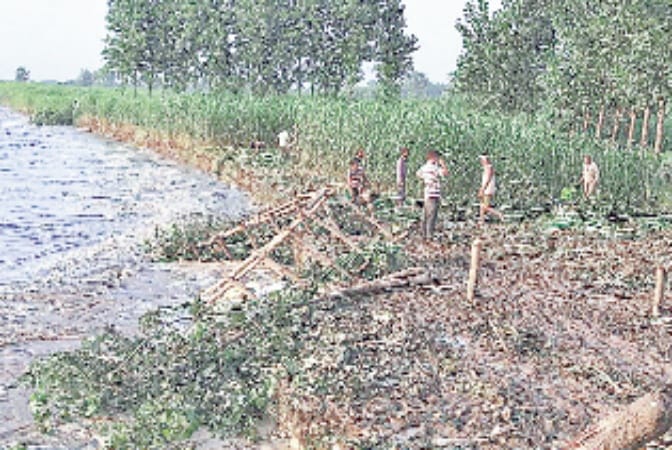 yamuna water level down but danger till now