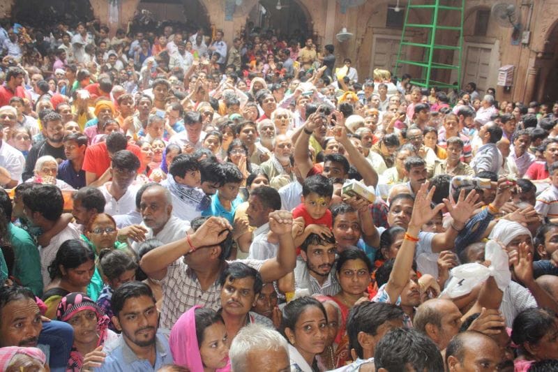 pavitra cellibration in bankebihari temple