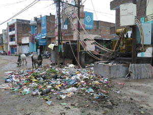 clean lalitpur