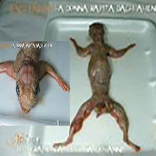 aliens raped a woman doing 18 time abortion