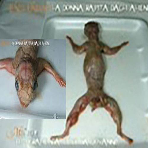 aliens raped a woman doing 18 time abortion
