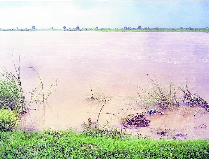 Yamuna in spate, crops were submerged