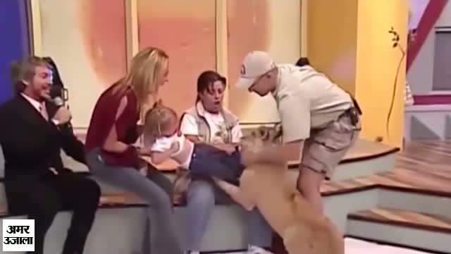 शेर बच्चे पर झपटा