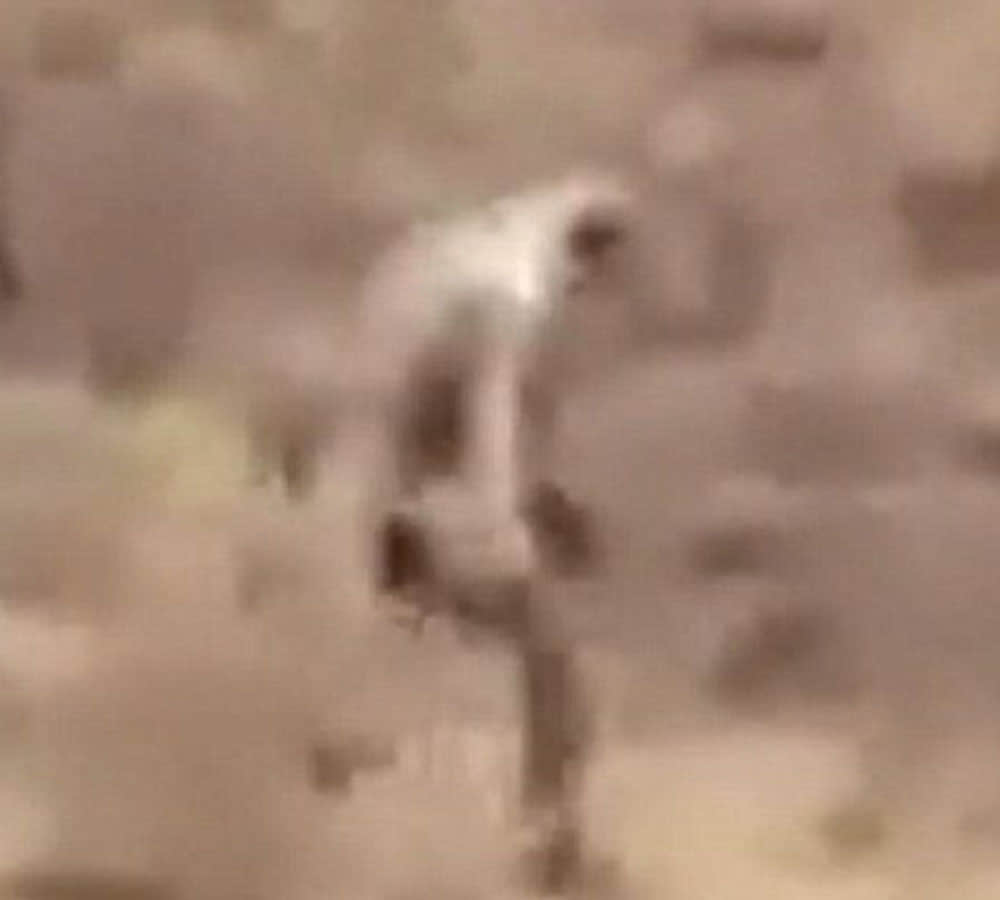 Mysterious man filmed roaming Portuguese desert