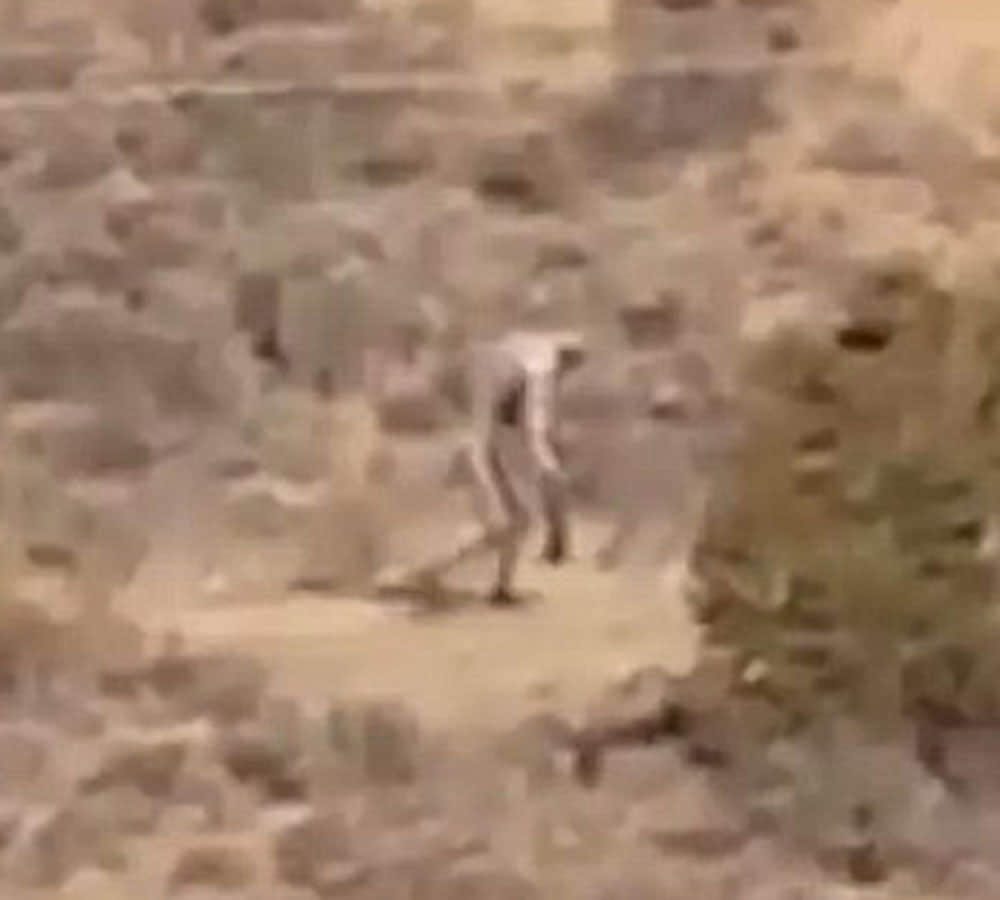 Mysterious man filmed roaming Portuguese desert