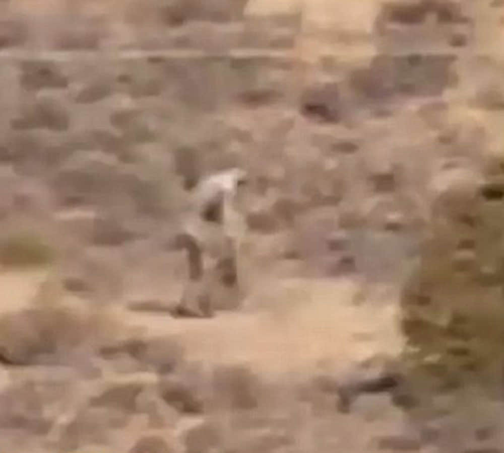Mysterious man filmed roaming Portuguese desert